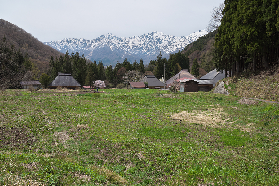 DD5_0750.jpg