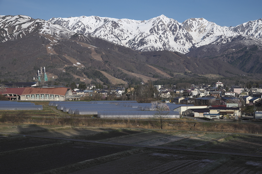 _Z6D0803.jpg