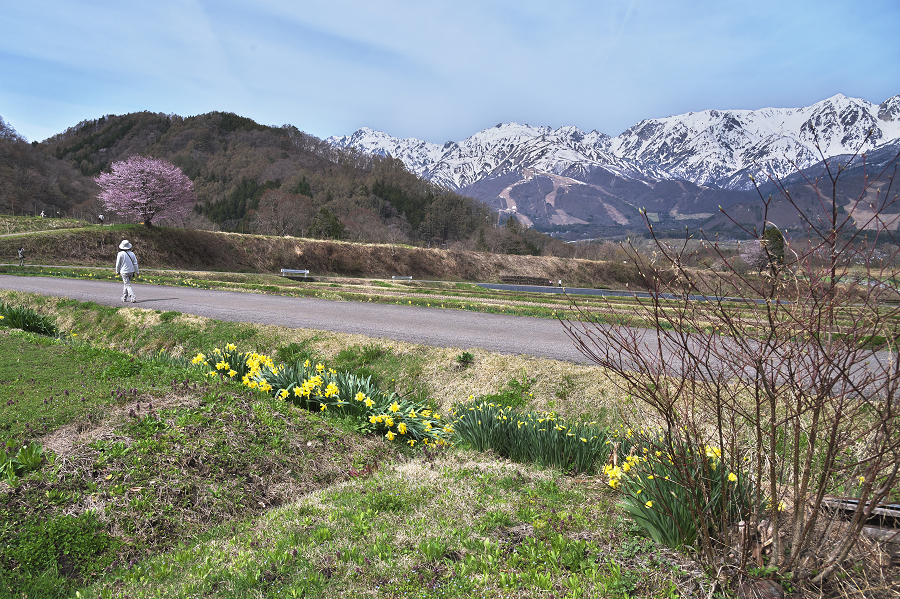 _Z6D0866.jpg