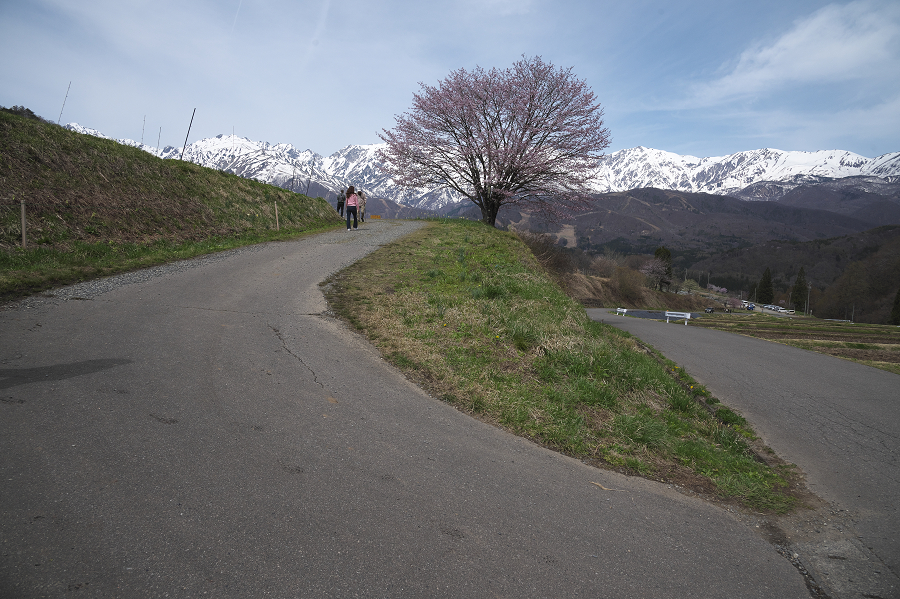 _Z6D0868.jpg