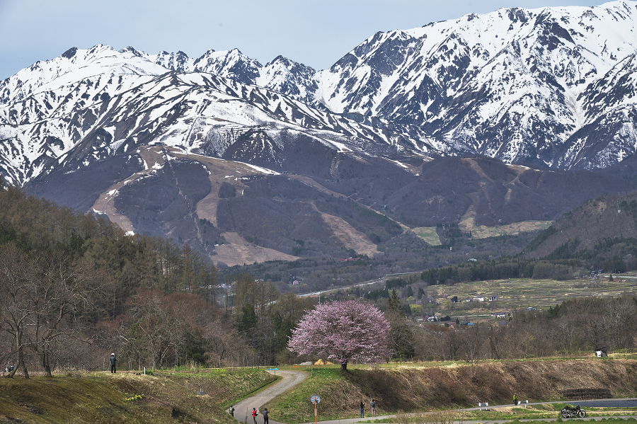 _Z6D0888.jpg