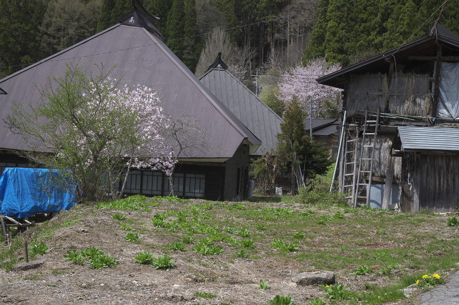 _Z6D0930.jpg