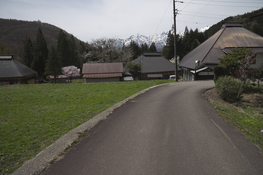_Z6D0932.jpg