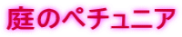 ��̃y�`���j�A
