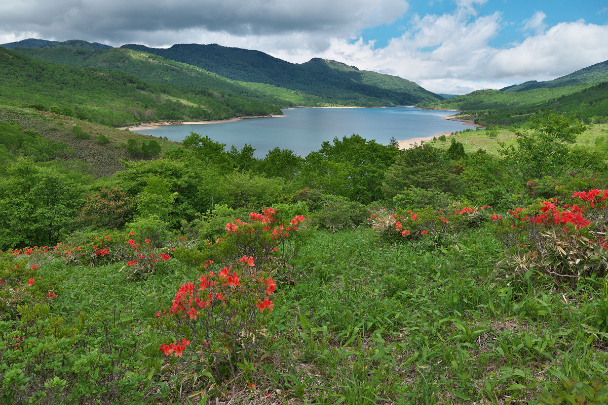 Z55_1349.jpg