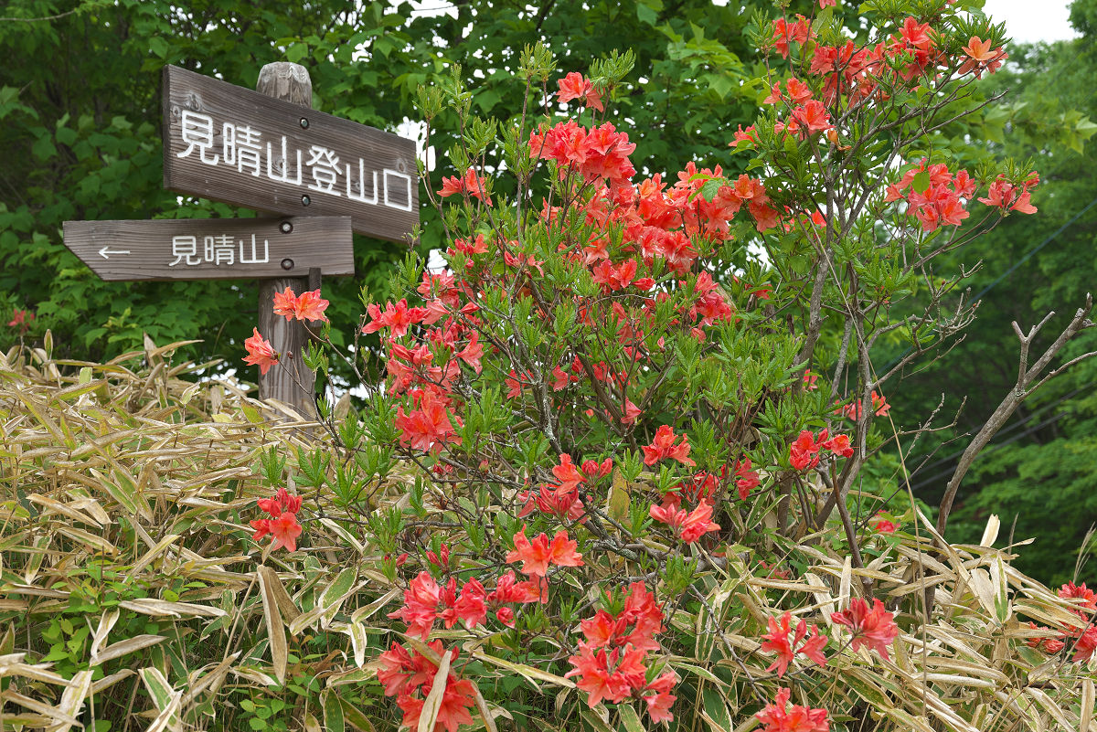 Z55_1148.jpg
