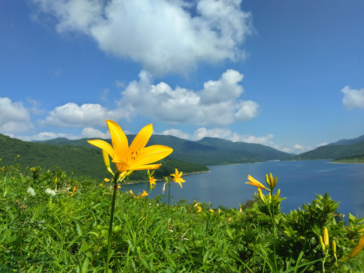 IMG_20260710_092019.jpg