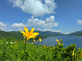 IMG_20260710_092019_thumb.png