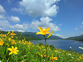 IMG_20260710_093002_thumb.png
