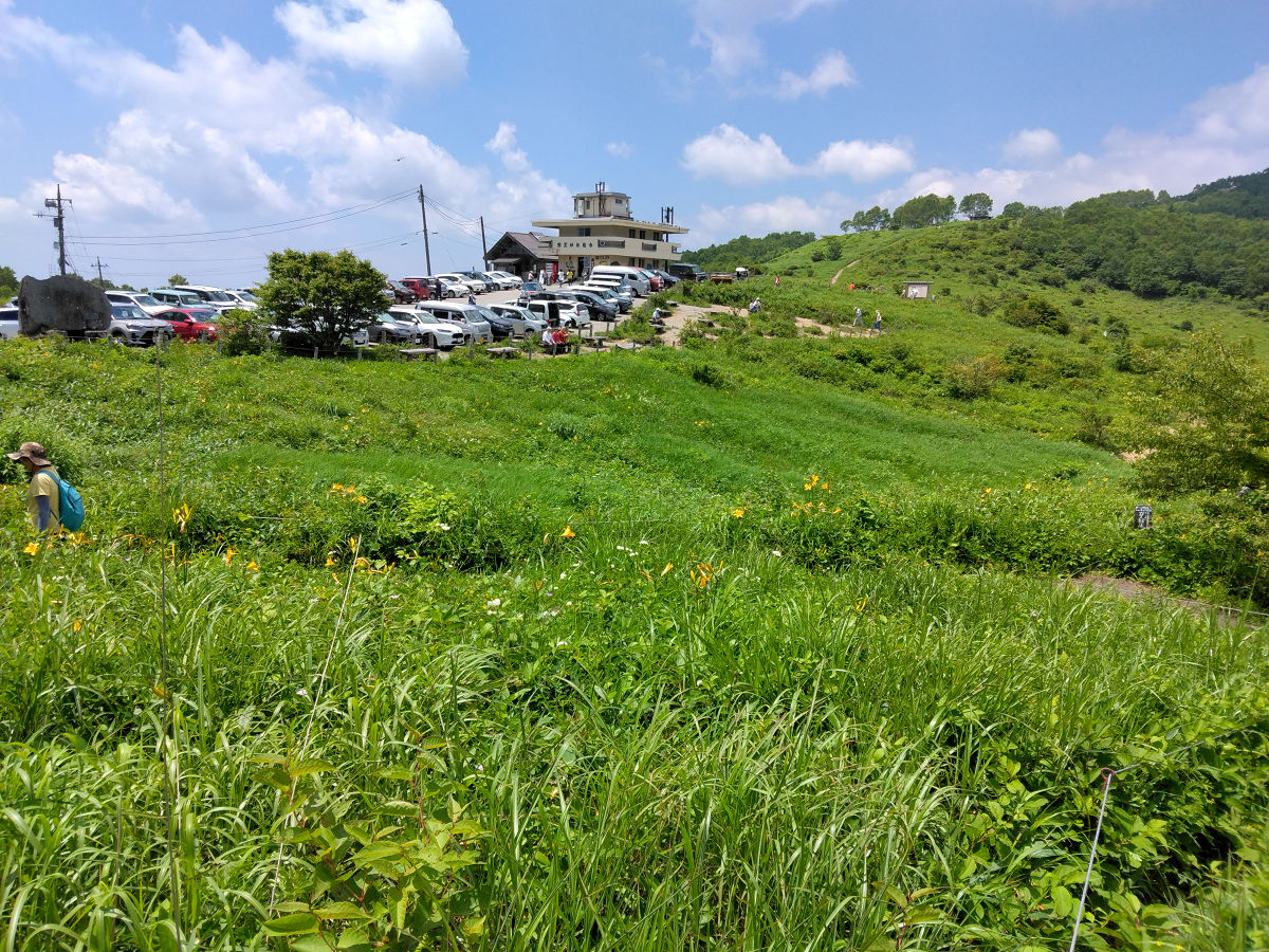 IMG_20260710_105934.jpg